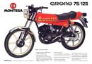 1978 - MONTESA CRONO 75-125