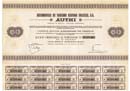 1974 - AUTHI ACCION (AUSTIN, MORRIS, MG, MINI)