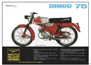 1968 - GUZZI DINGO 75